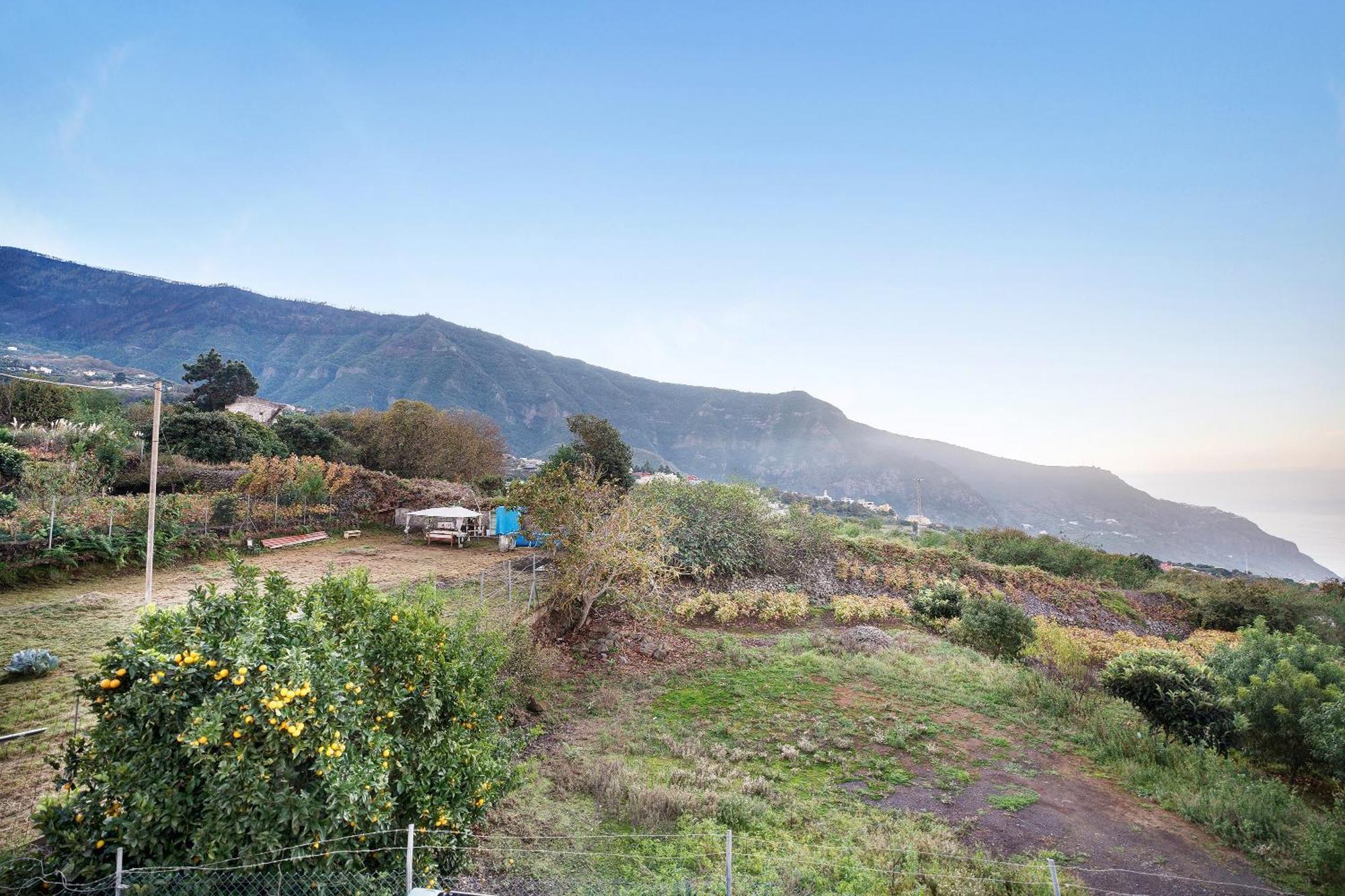 Villa Casita Rural La Pinera Los Realejos Exterior foto